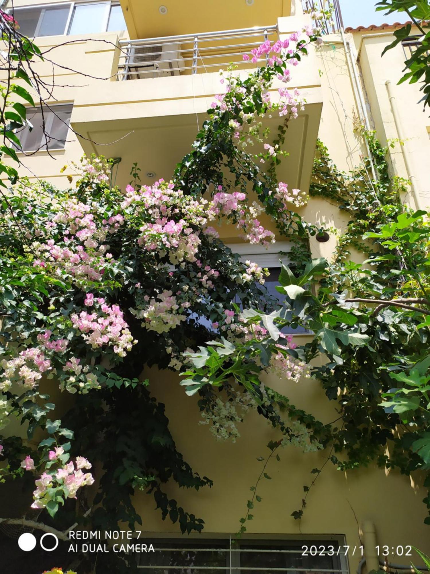 Georgia'S Family Apartment Ηράκλειο Κρήτης Εξωτερικό φωτογραφία