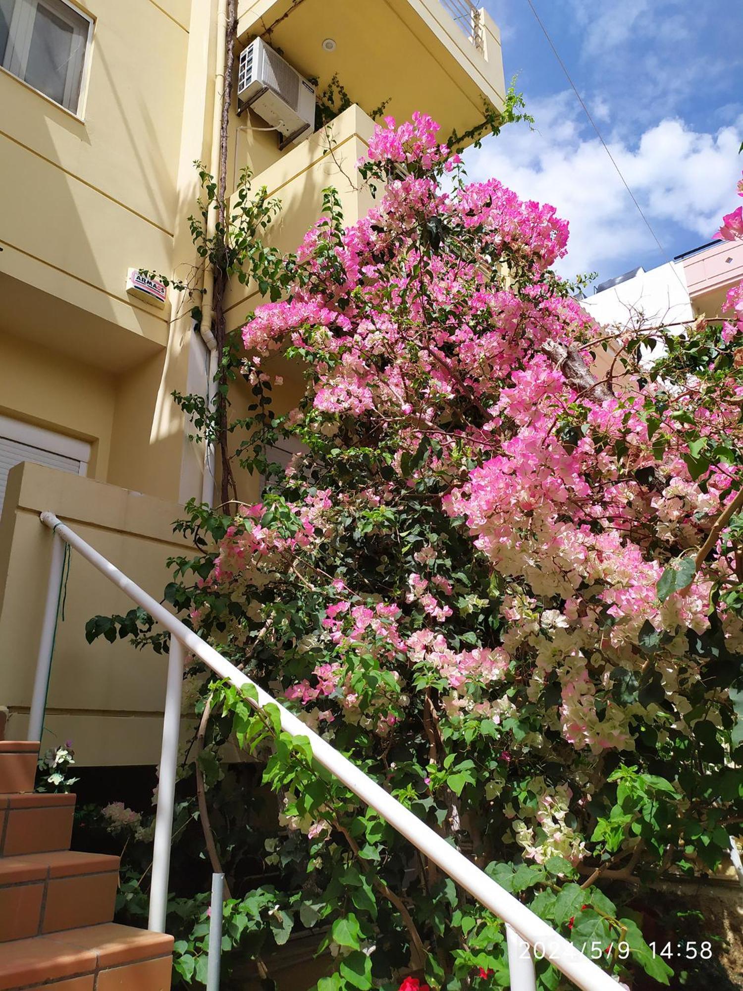 Georgia'S Family Apartment Ηράκλειο Κρήτης Εξωτερικό φωτογραφία